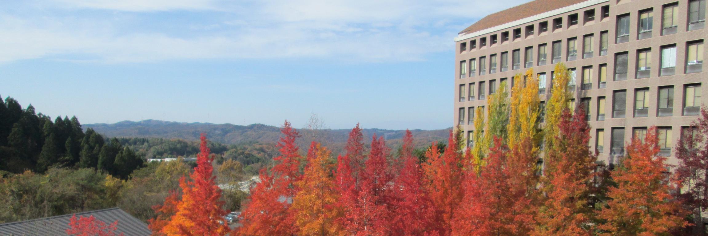 SeminarUH's profile banner image