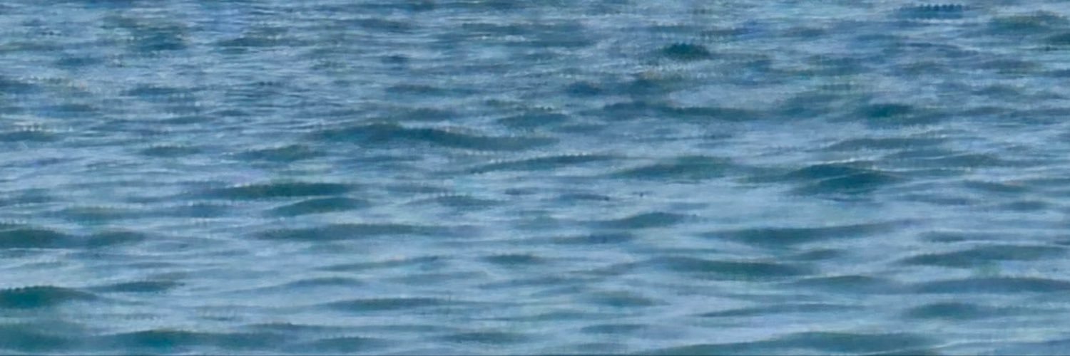 MBellGS's profile banner image