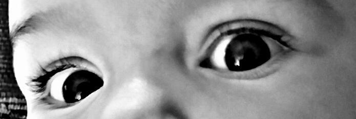 Mi_Li's profile banner image