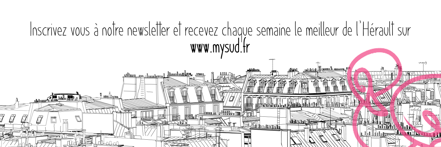 My Sud banner