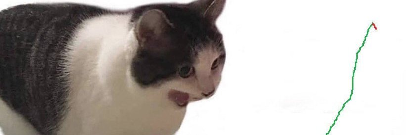 0xgarfi's profile banner image