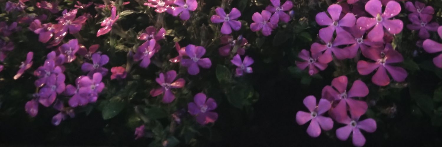 8585zero's profile banner image