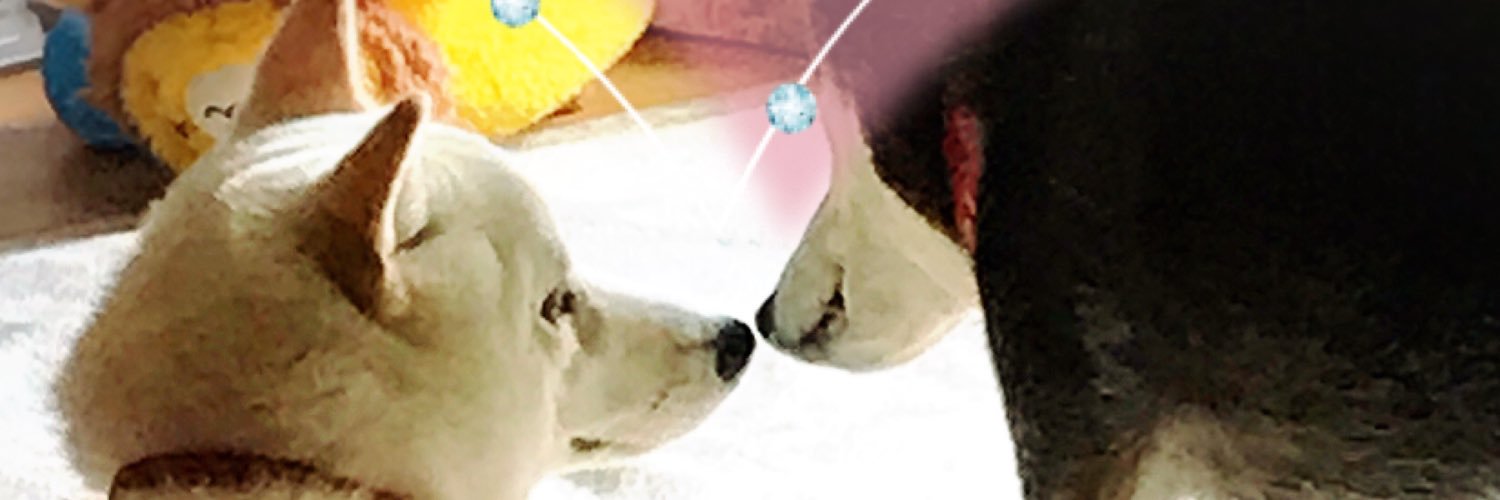 hothaur's profile banner image