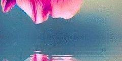 ee2964fa182b47e's profile banner image