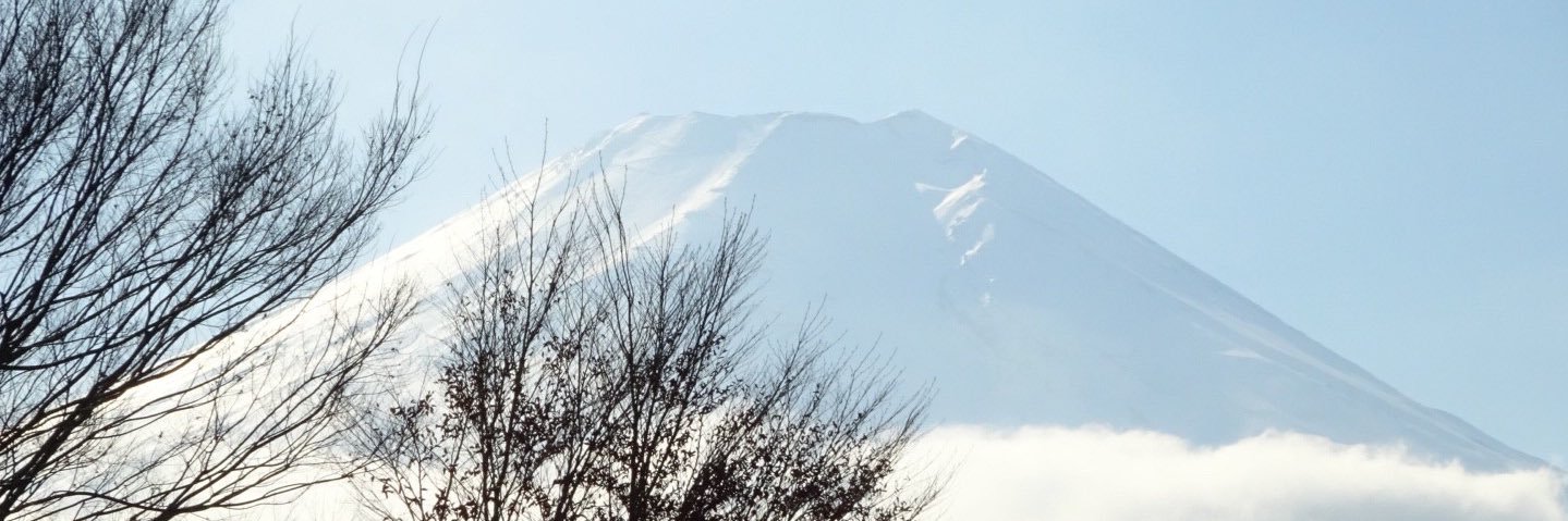 e31_madoca's profile banner image