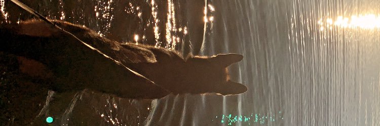 Rusten15's profile banner image