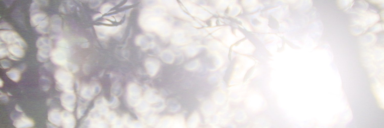 HideyaKiyooka's profile banner image