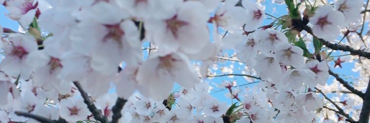 kuu_002's profile banner image