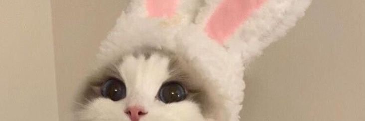 selinaaydinalp's profile banner image