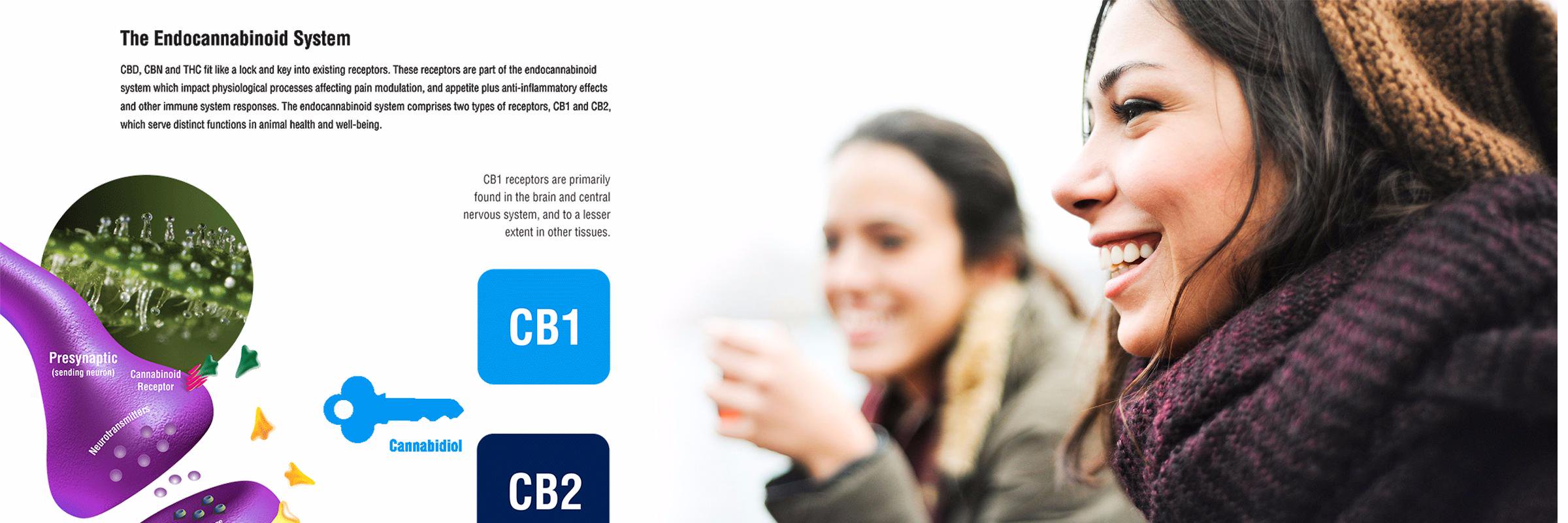 HealthMaxGroup's profile banner image