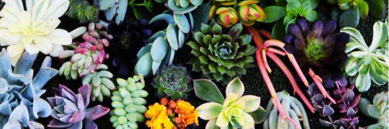 __emmasnell's profile banner image