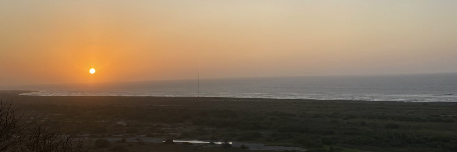 pedroterogris's profile banner image