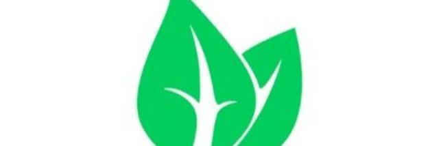 MintAccounts's profile banner image