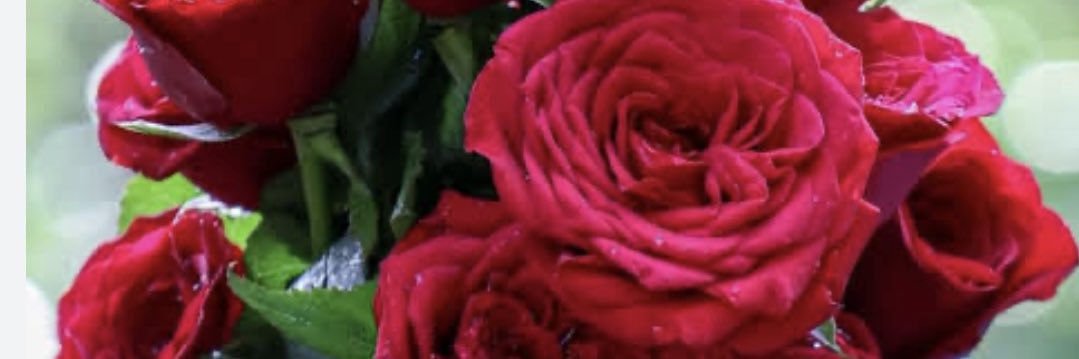 abhakukkarinsan's profile banner image