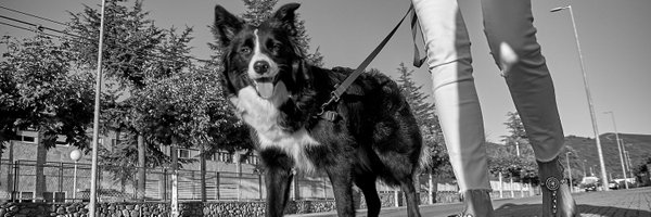 Jorge__Monroy Profile Banner