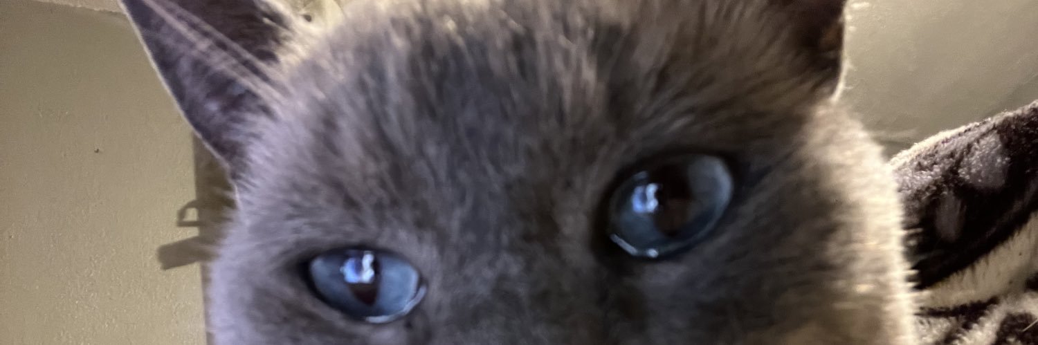 yaravidd's profile banner image
