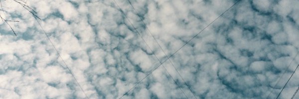 saina Profile Banner