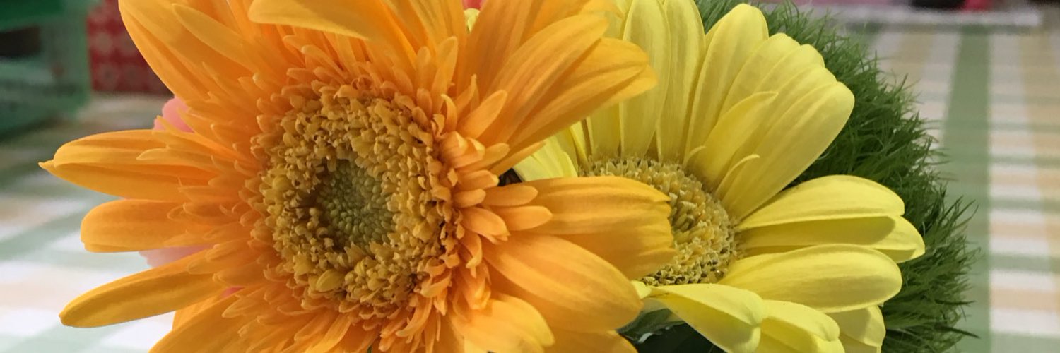 nico_monst's profile banner image