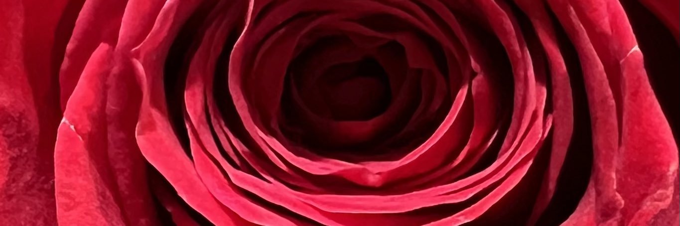 snakelegs's profile banner image
