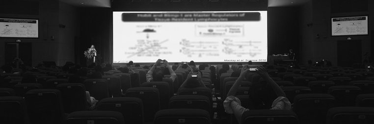 Fern Koay 郭 banner