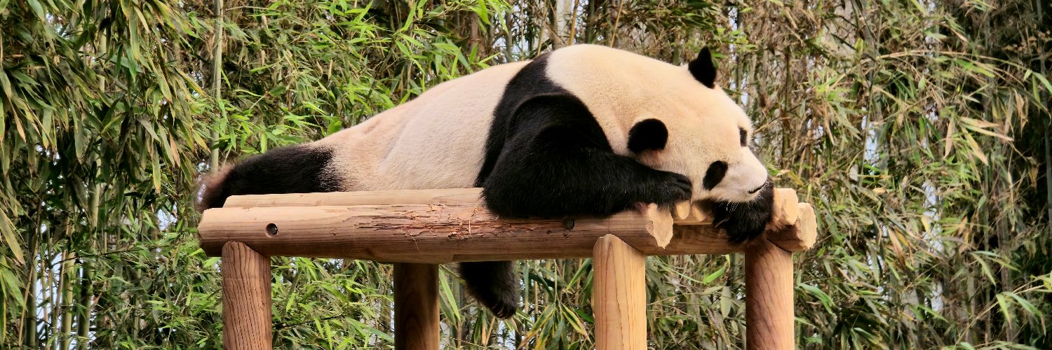 🐼포션파는 NPC 한스🐼's banner
