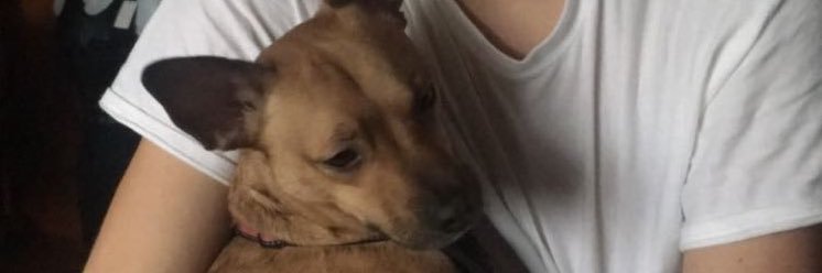 wellbalanced22's profile banner image