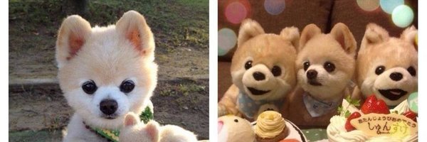 MildMay Profile Banner