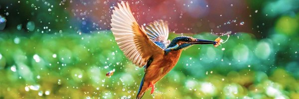 MohananHere's profile banner image