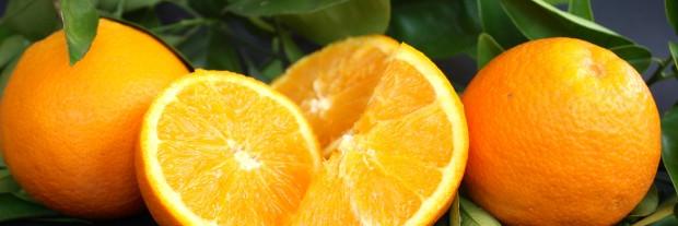 CitrusricusDe's profile banner image