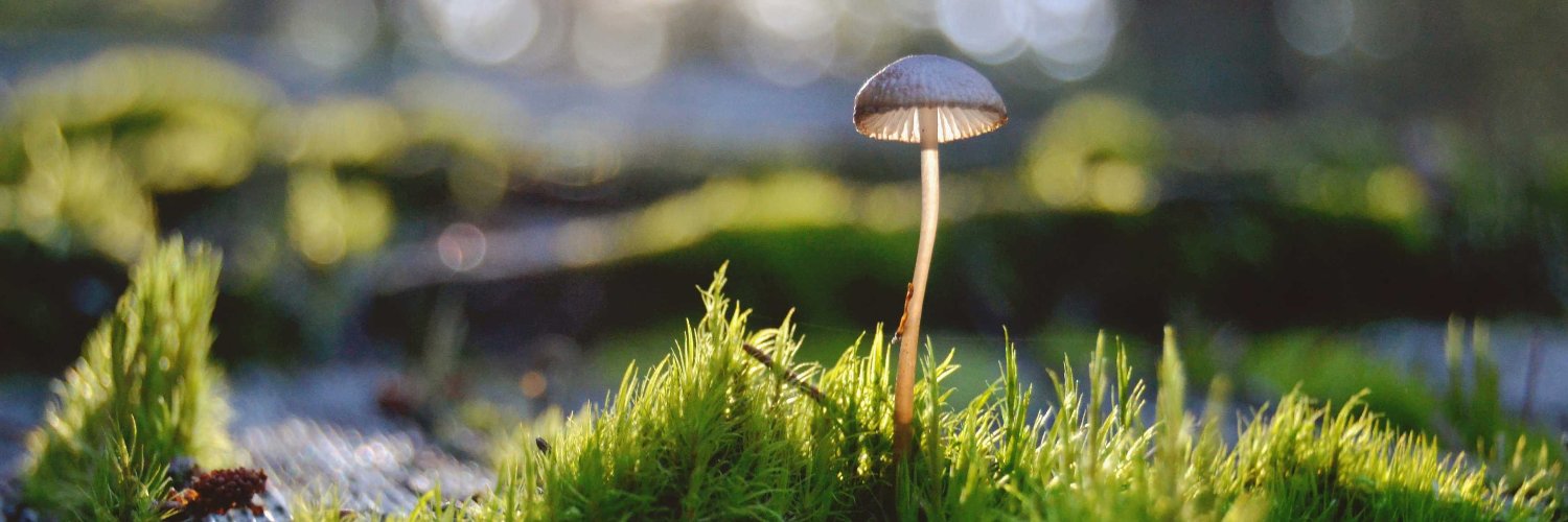 Mr. Travers of Travers' Tales banner