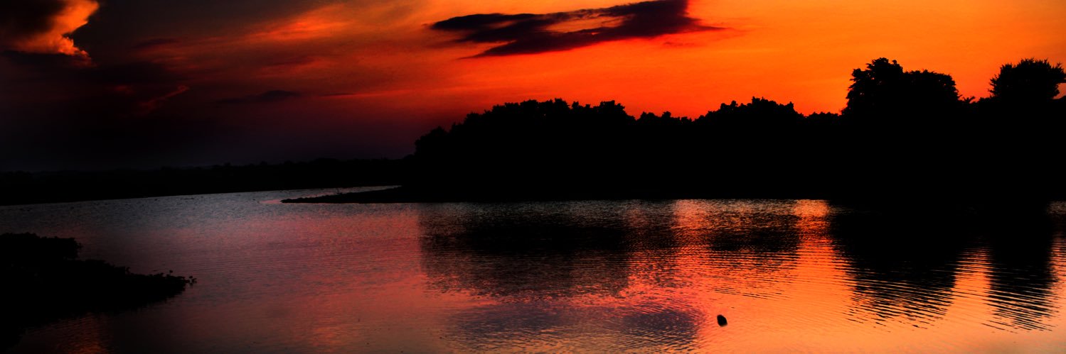 BronwynDauth's profile banner image