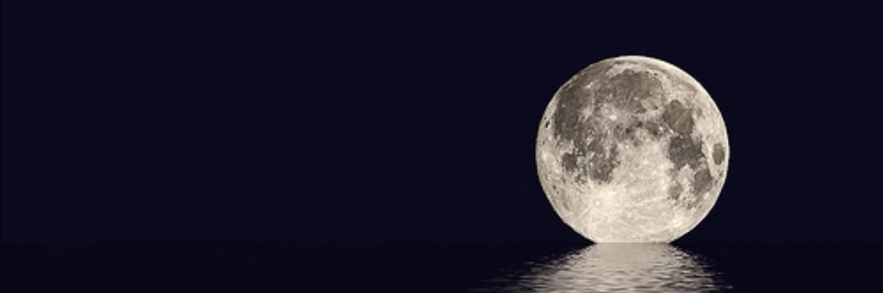 Nobody banner