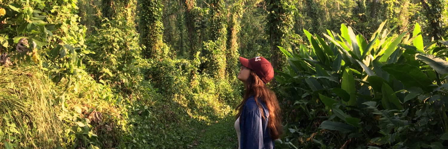 SofiaSaldi's profile banner image
