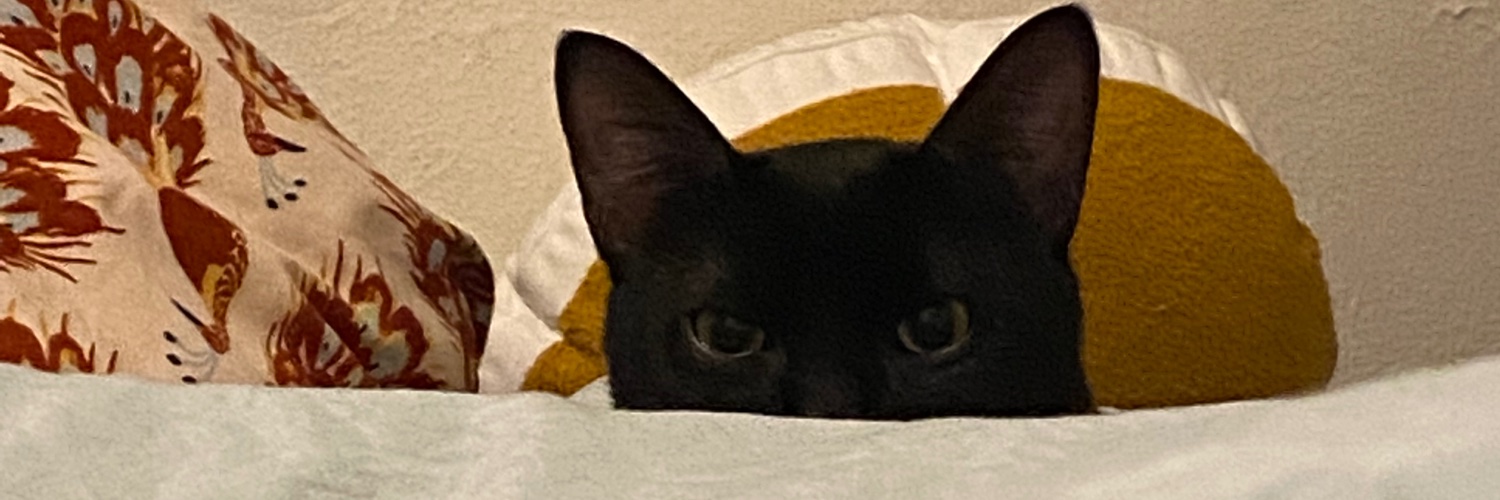 lindsgama's profile banner image