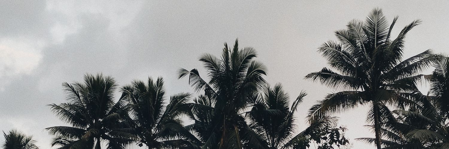mesescoklatt's profile banner image