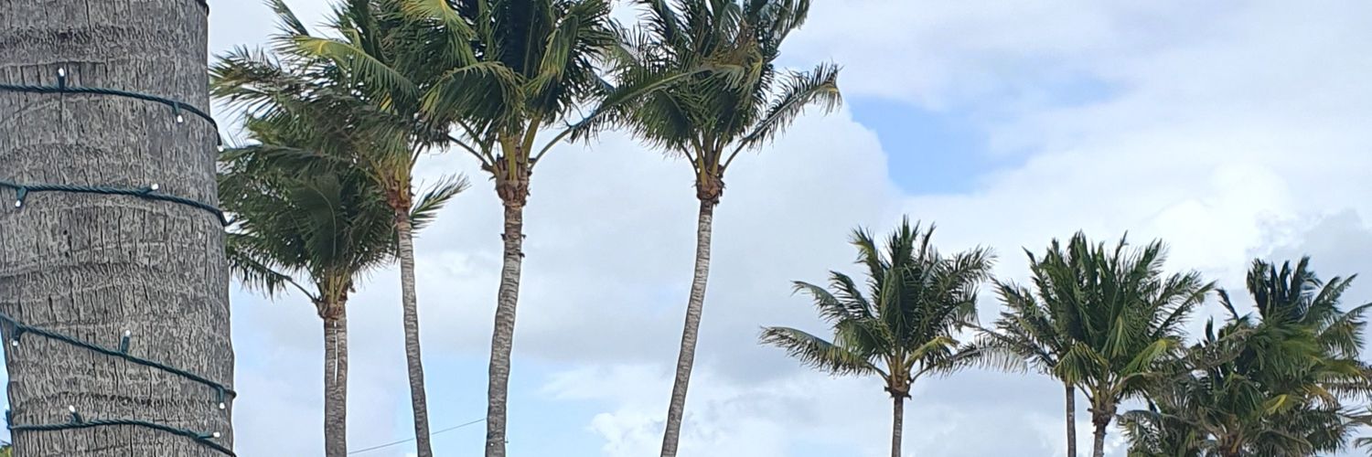 Tywunique's profile banner image