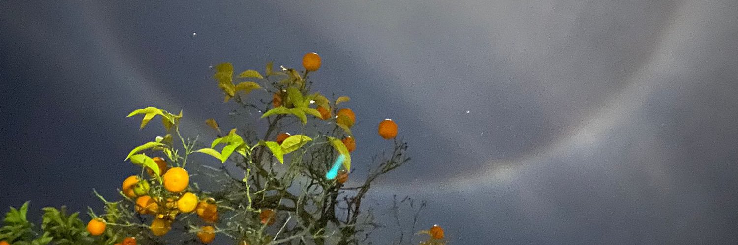 lilcouple's profile banner image