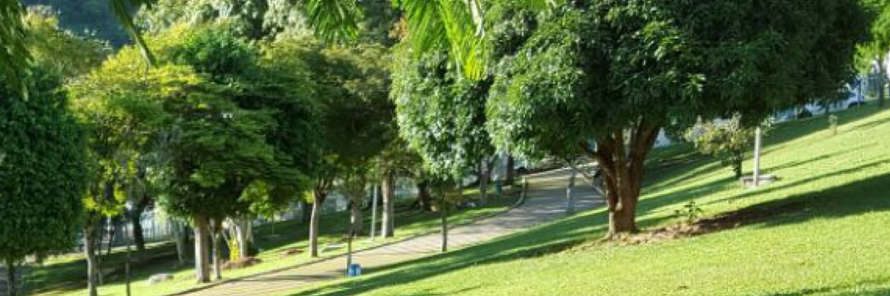luh_aazevedo's profile banner image