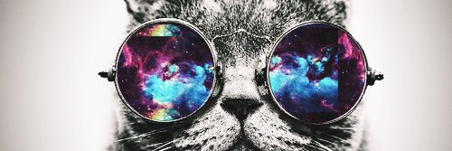 MsStevenson27's profile banner image