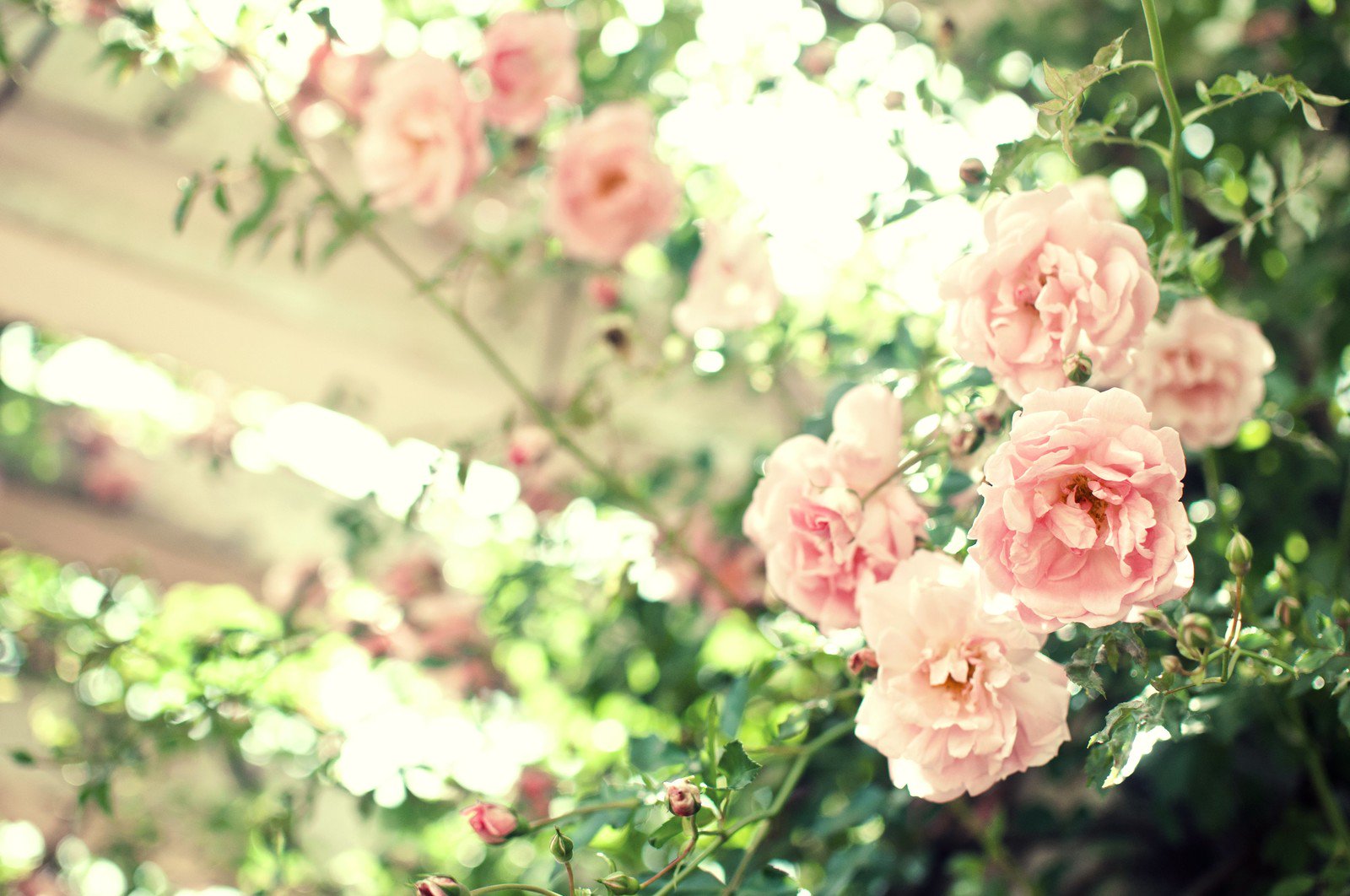 yumi738's profile banner image
