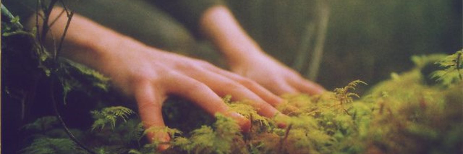 Blackcattt's profile banner image