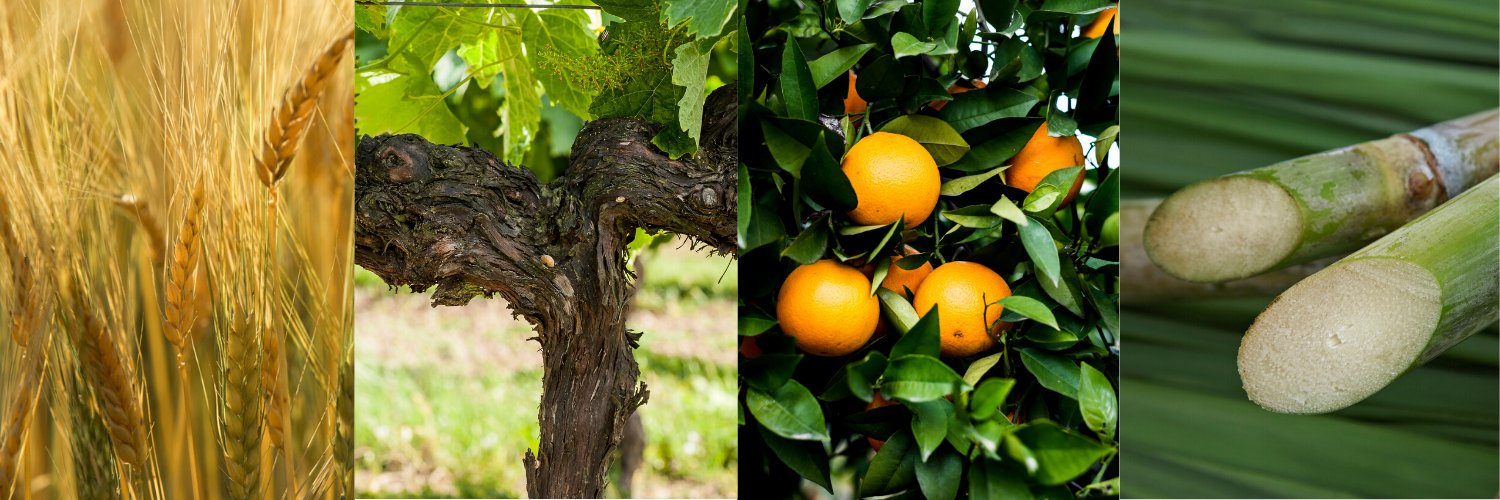 remycointreau's profile banner image