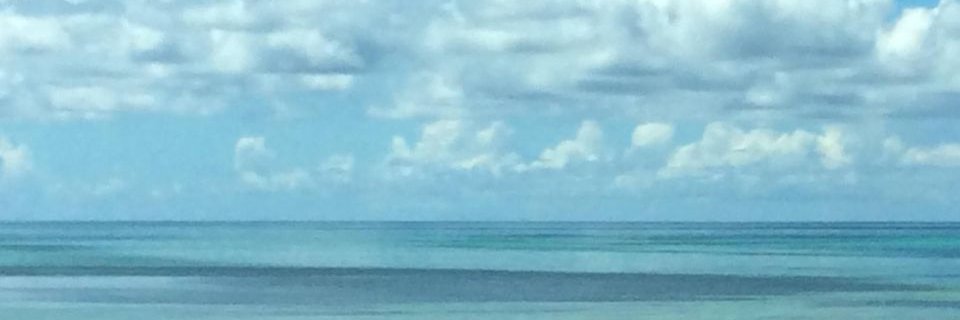 cbuchfaure's profile banner image