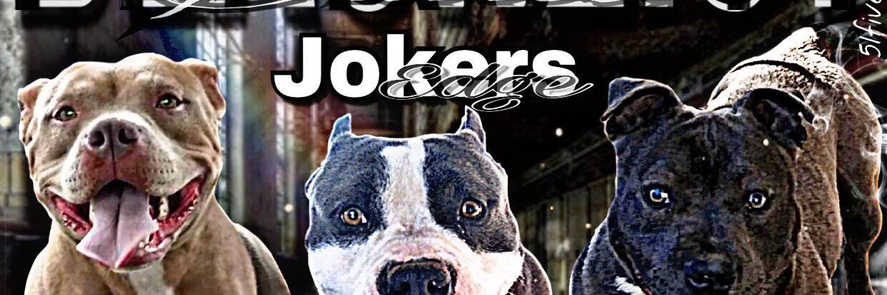 reddog828's profile banner image