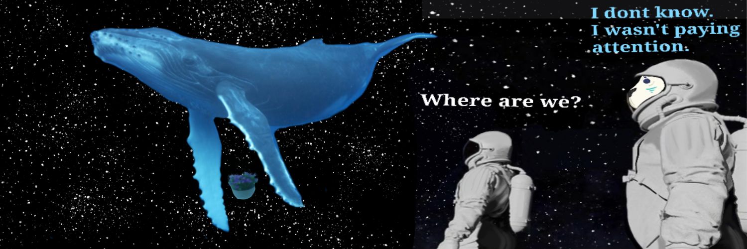 Tarabearable's profile banner image