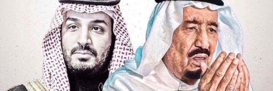 ناريمان الجدعاني nariman_888⁩⁩ سنابي للقطط banner