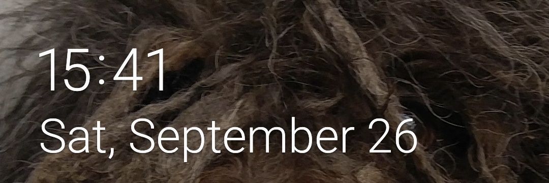 Quinn banner