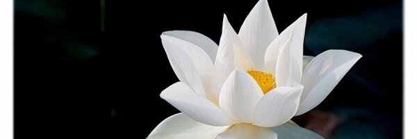 federiko87 Profile Banner