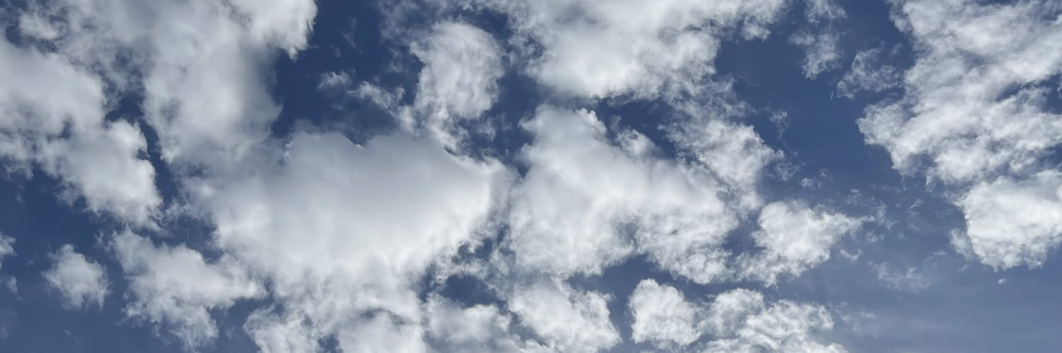 thenamesbaylee's profile banner image