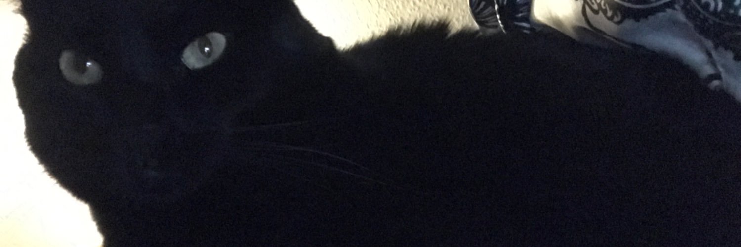BarberiaMarcela's profile banner image